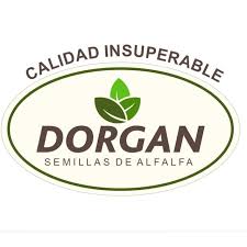 DORGAN SEMILLAS DE ALFALFA (Ruiz Dochi Sara Belen )