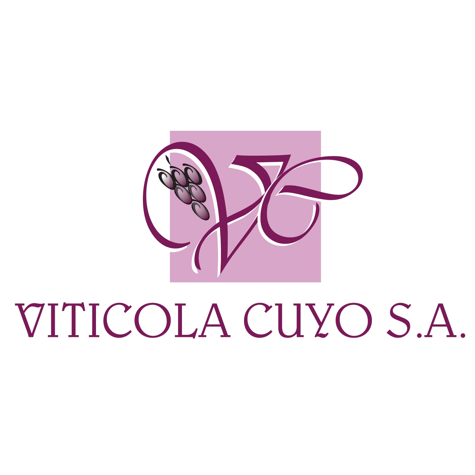 Viticola Cuyo S.A.[VITICOLA CUYO S.A.]