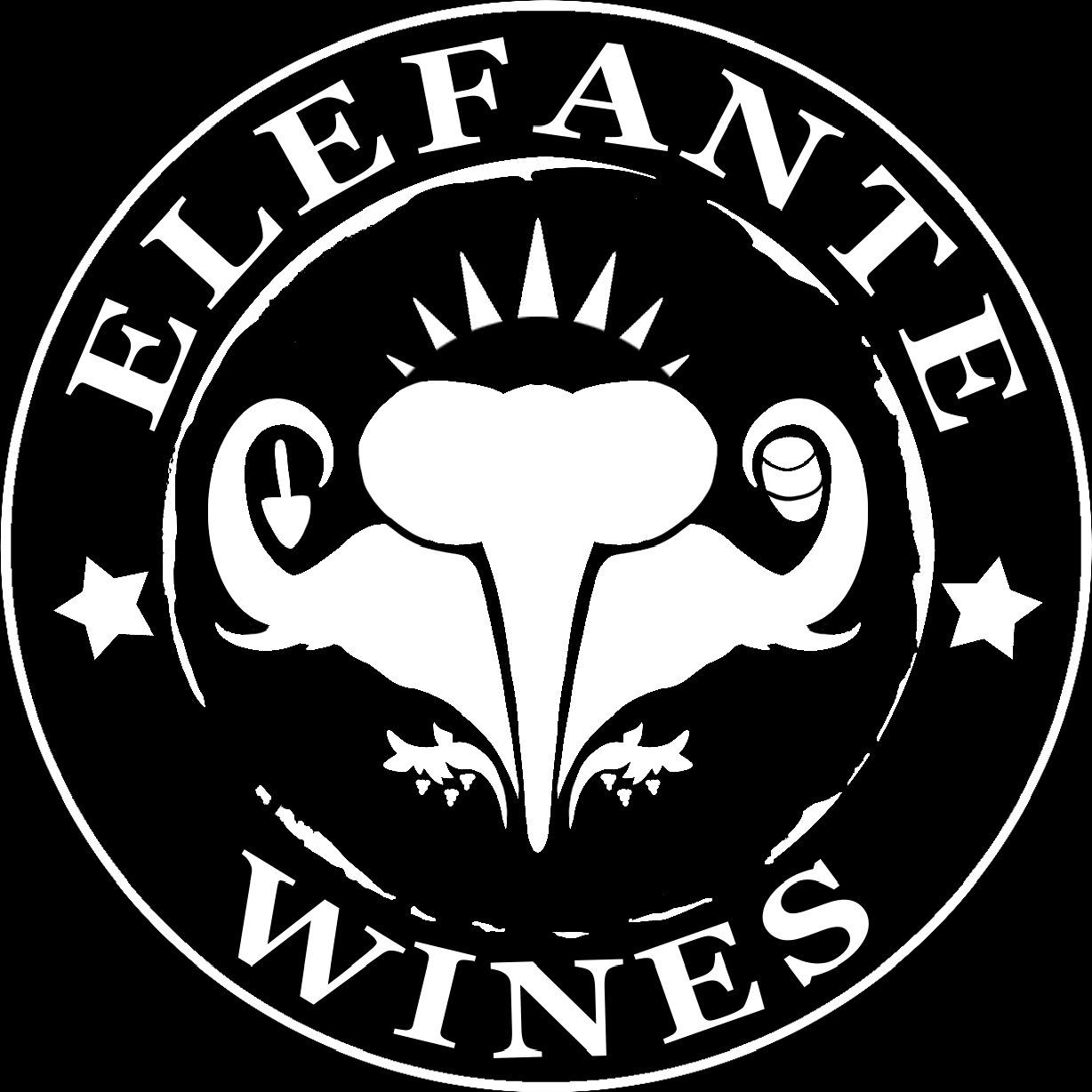 Juan Felipe Azcona [ELEFANTE WINES]